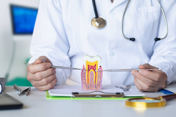 Best Broken Tooth Emergency  in Schulenburg, TX